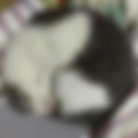 中板橋駅のコスパコ希望の男性[14433] かずゆき さん(31)のプロフィール画像